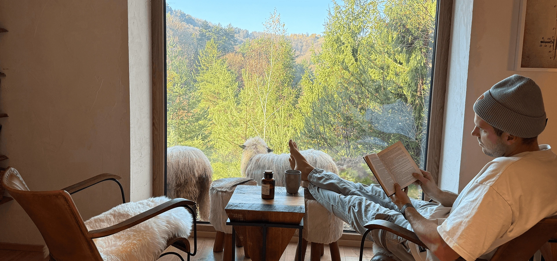 Panoramski pogled skozi okno v naravo - eno z naravo